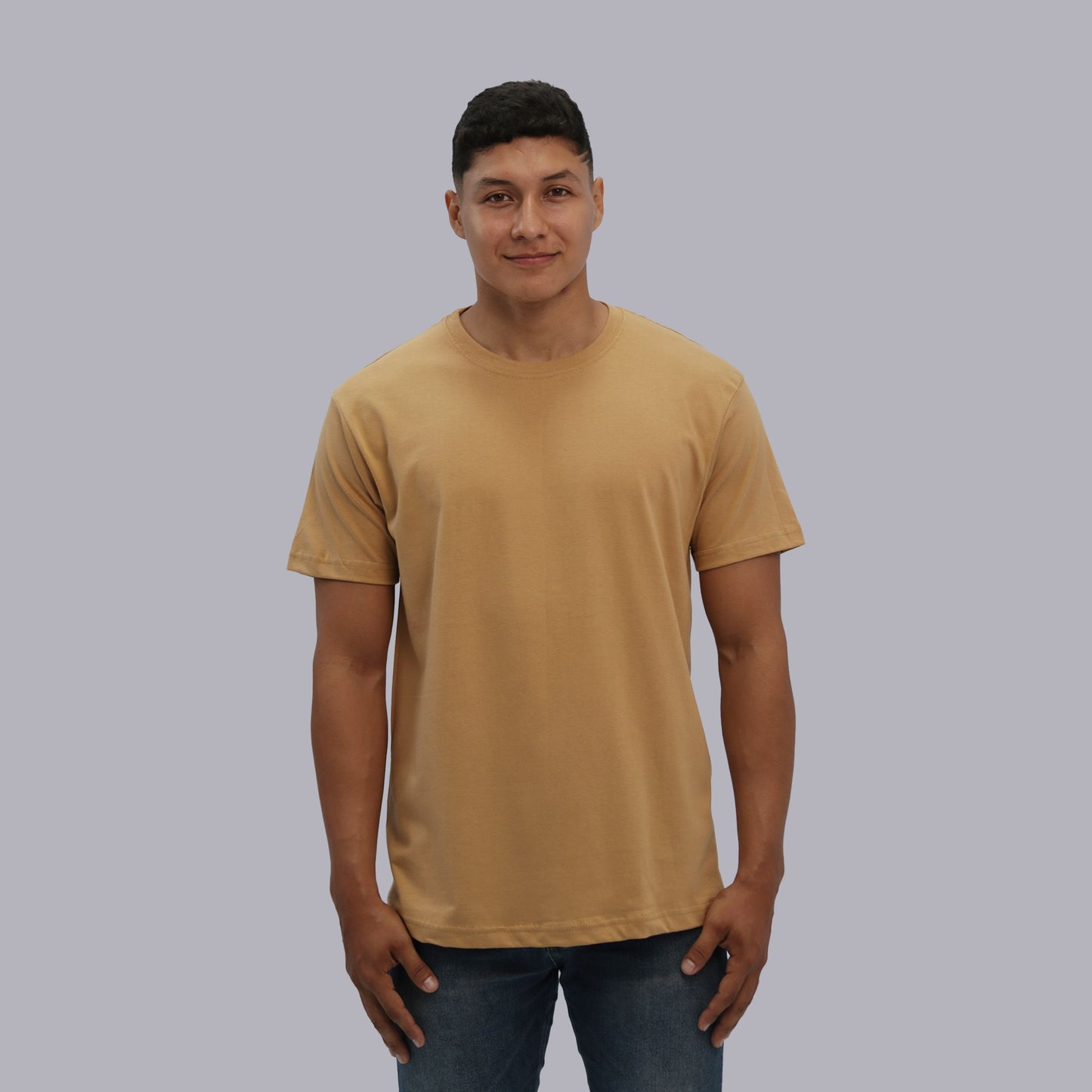 CAMISETA BASICA PREMIUM / BEGIN