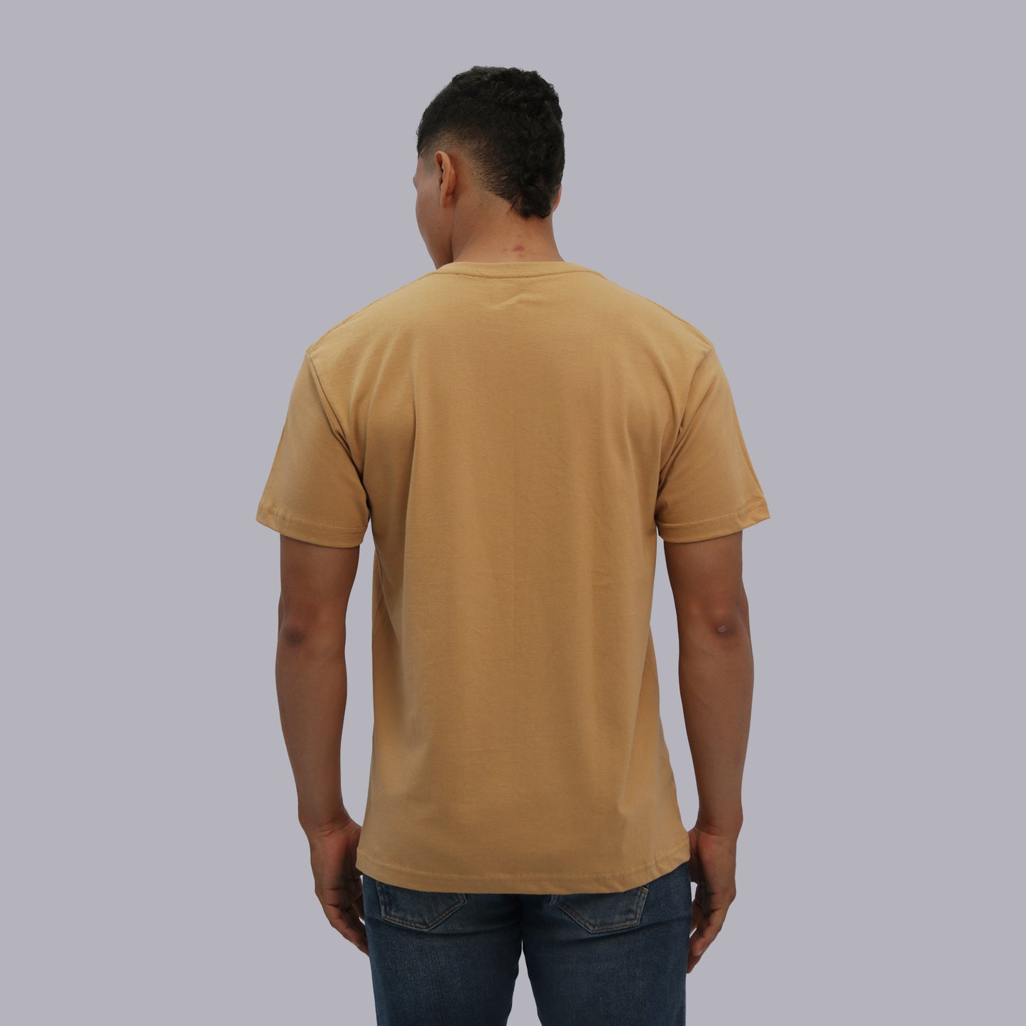 CAMISETA BASICA PREMIUM / BEGIN